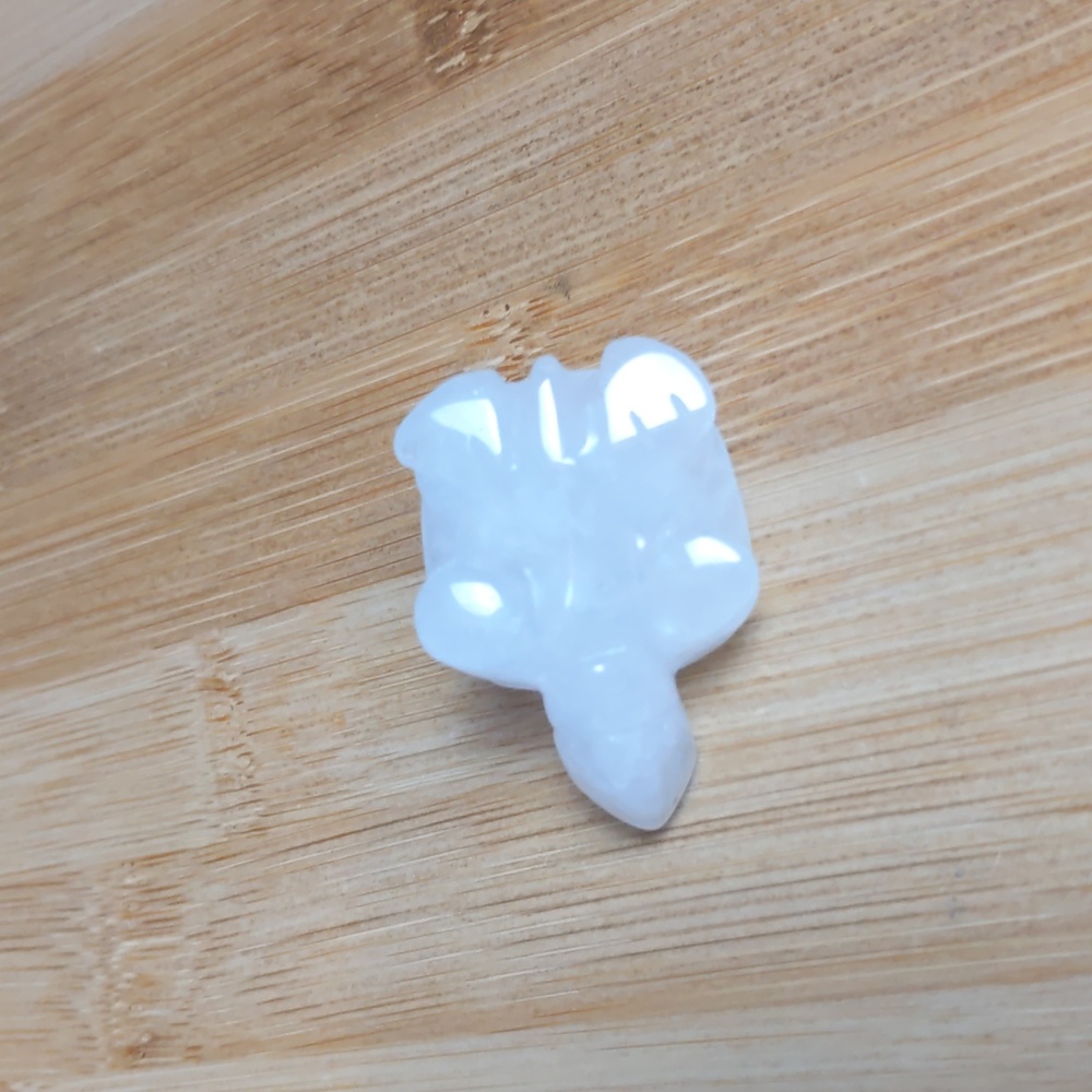 Mini Quartz Turtle 🐢 - Picture 12 of 12